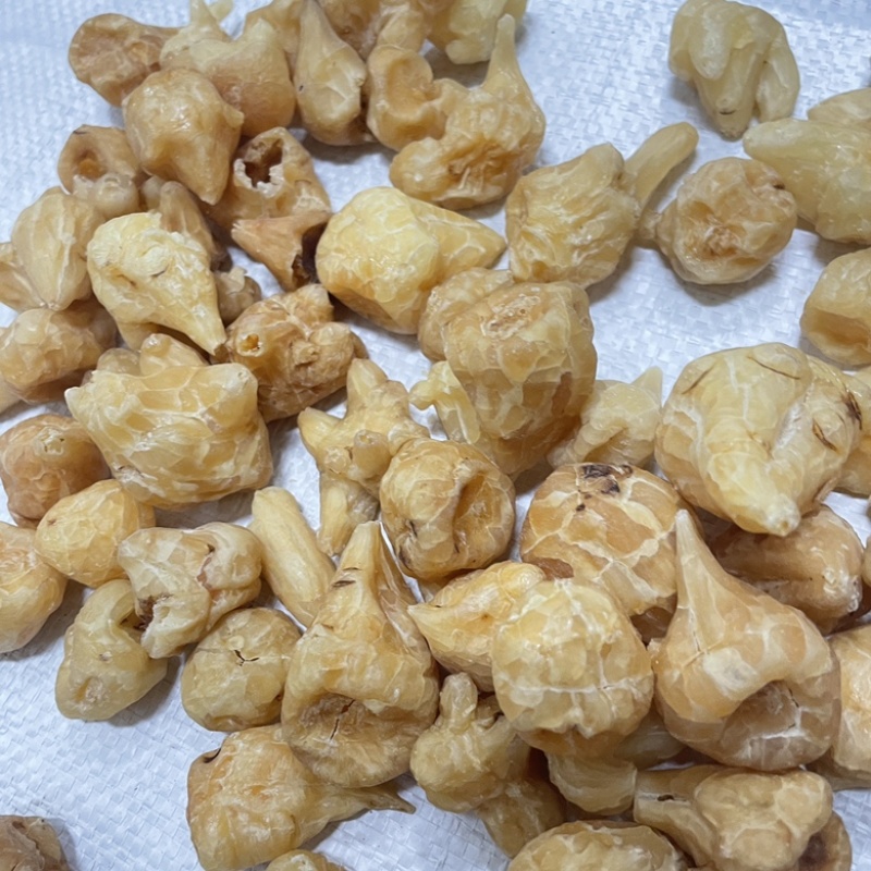 炮天雄生附正宗四川江油保真保量