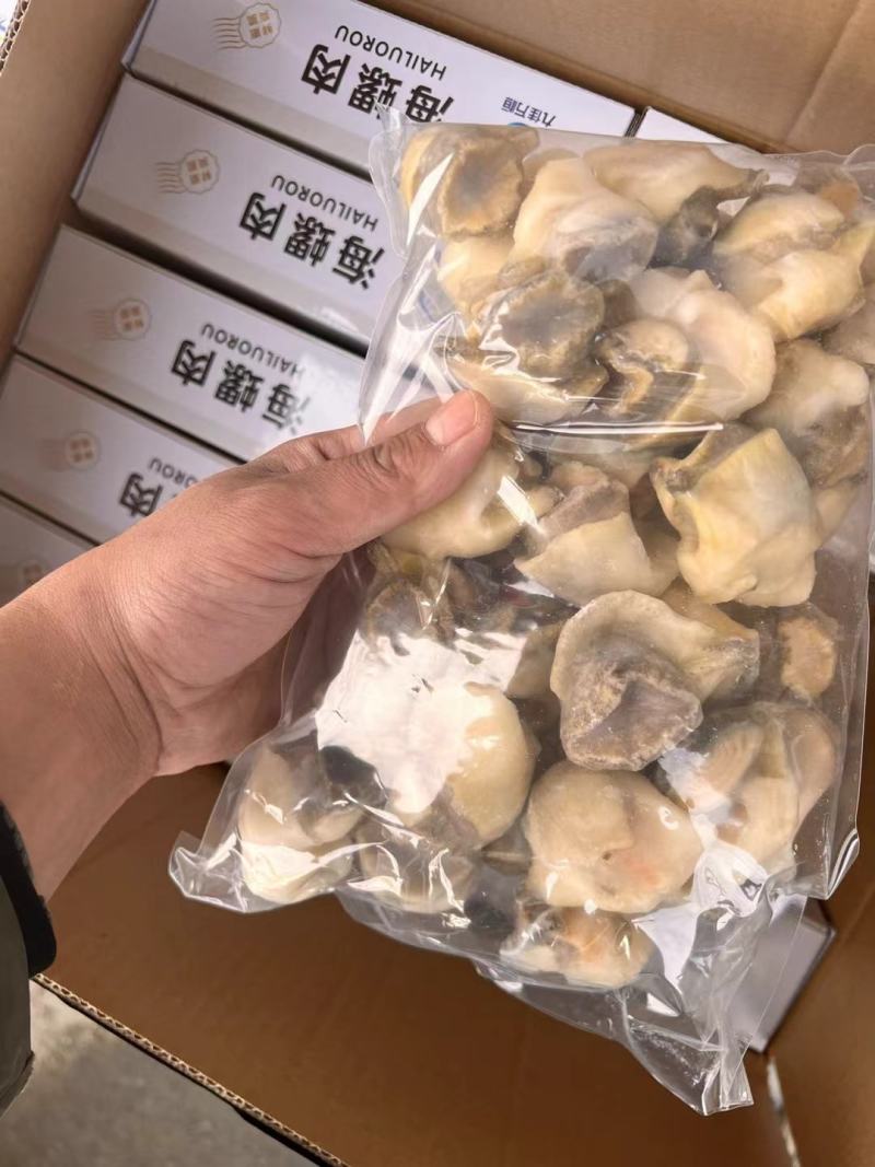 海螺头支持批发零售货源充足价格平稳欢迎大家咨询
