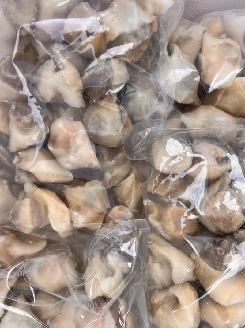海螺头支持批发零售货源充足价格平稳欢迎大家咨询