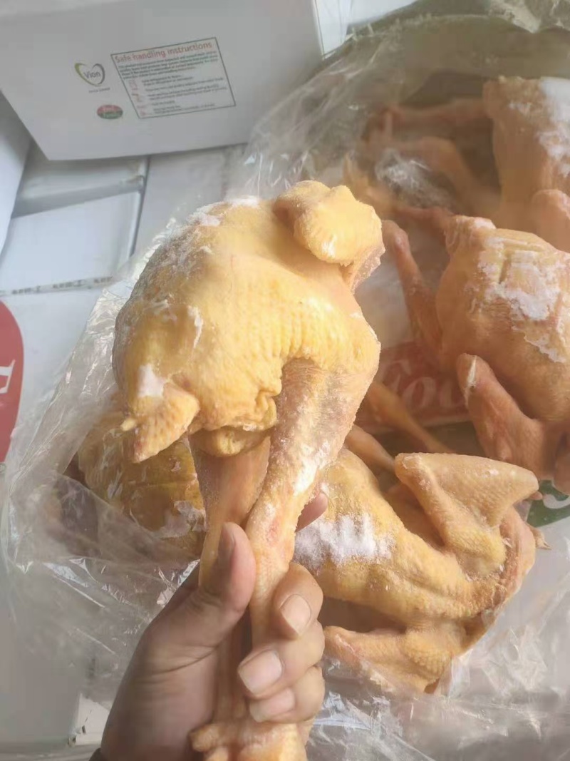 三黄鸡