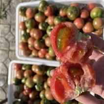 精品水果西红柿出售