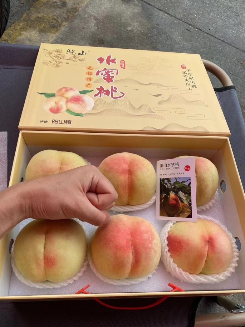 江苏精品阳山水蜜桃，电商代发，规格齐全产地一手货源，