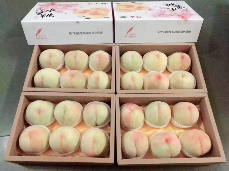 江苏精品阳山水蜜桃，电商代发，规格齐全产地一手货源，