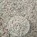 无硫茯苓中心丁特心丁茯苓块茯神白茯苓原产地直销