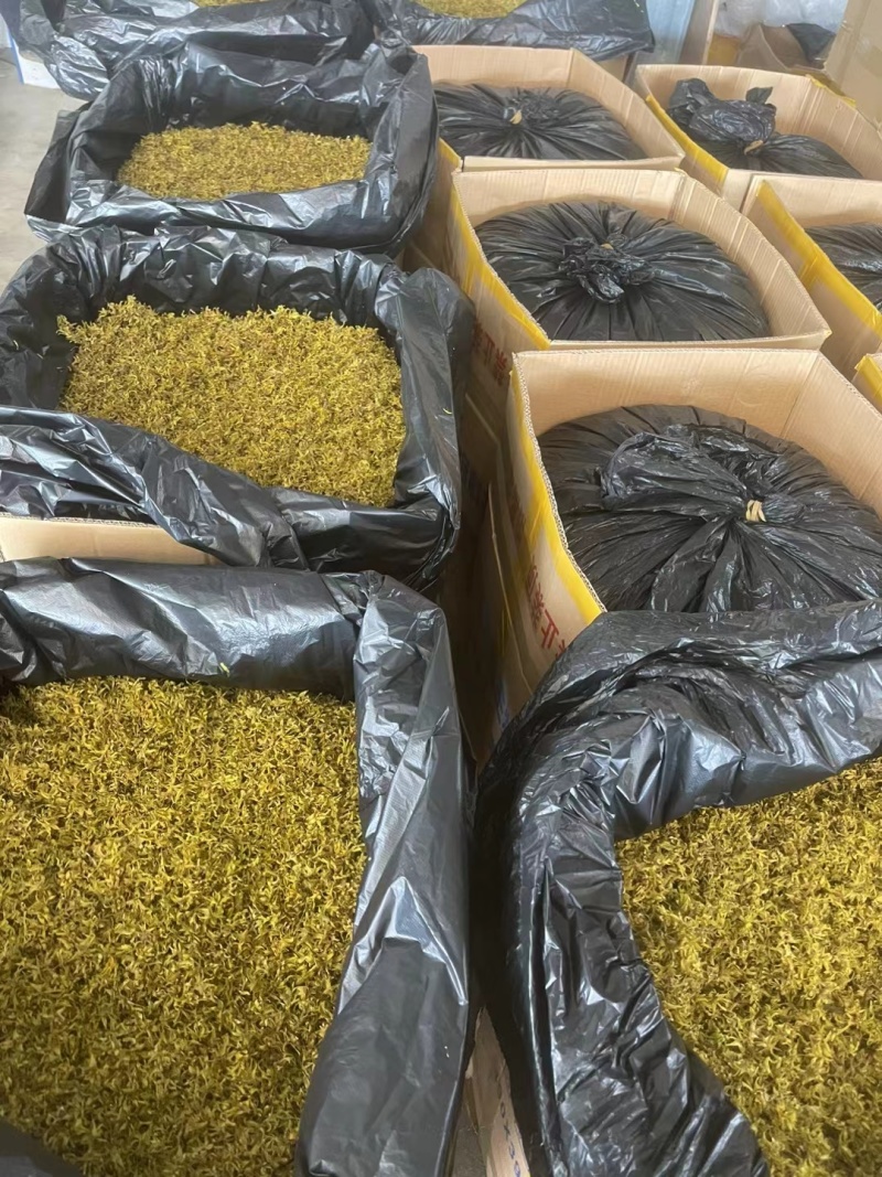 铁皮石斛鲜花现采摘顺丰包邮