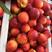 n安徽砀山油桃大量供应产地代办全国代发保质保量