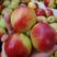 早熟油桃，毛桃大量上市中，欢迎新老客户前来采购。