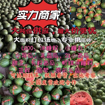 全美2K西瓜，小吊瓜，冰糖籽西瓜，手掰，小糖丸，L600