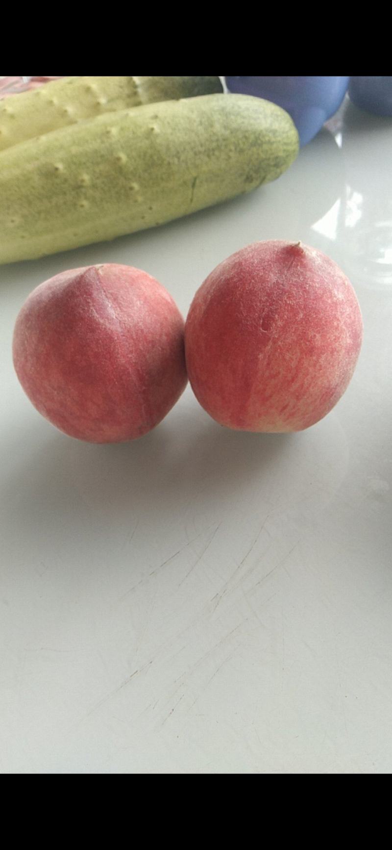 加州早甜