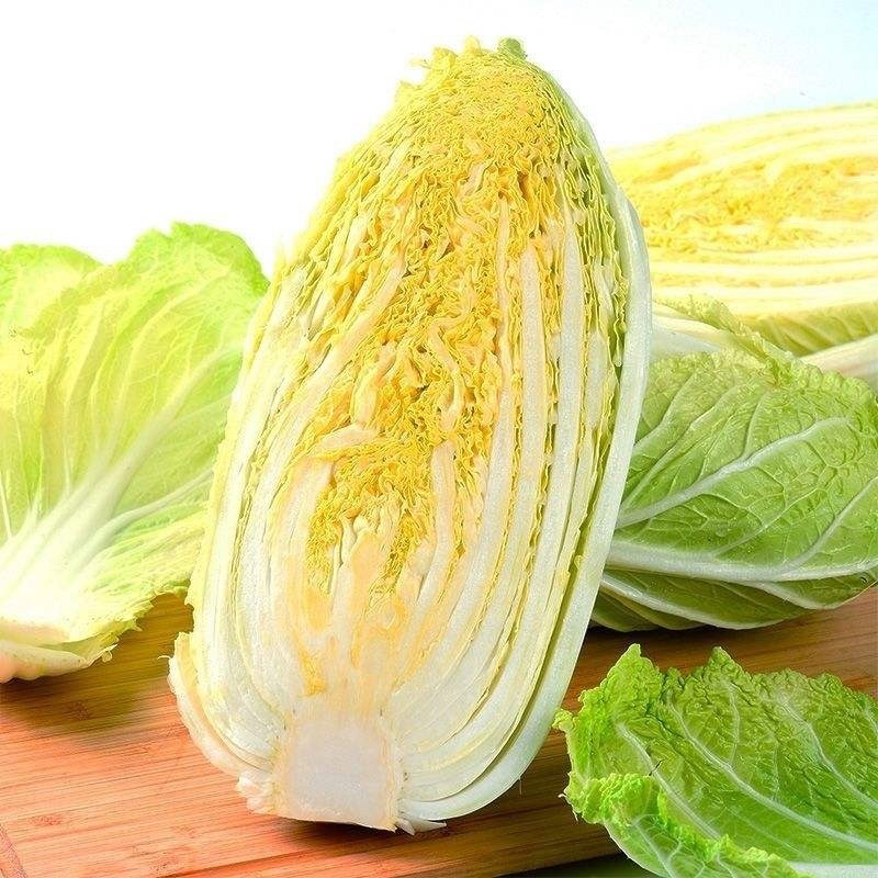 江苏东台黄心白菜大量上市一年四季供货欢迎选购！
