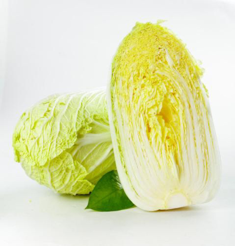 江苏东台黄心白菜大量上市一年四季供货欢迎选购！