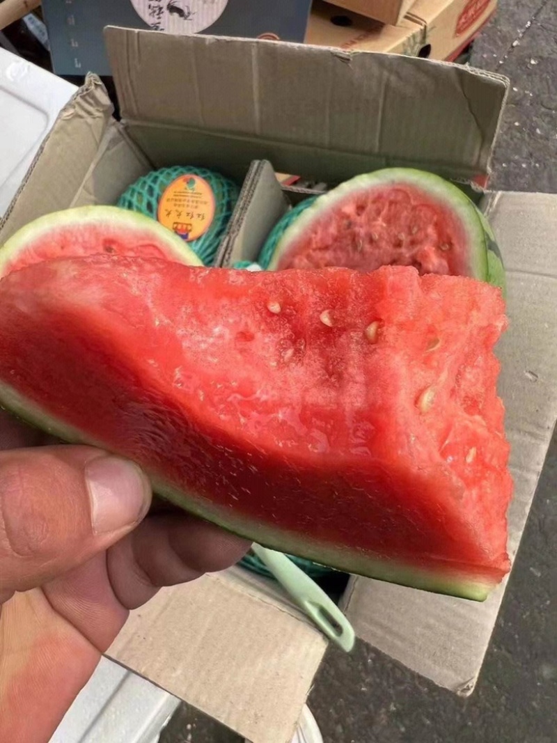 【推荐】江苏盐城东台西瓜麒麟西瓜实力代办货源充足产地