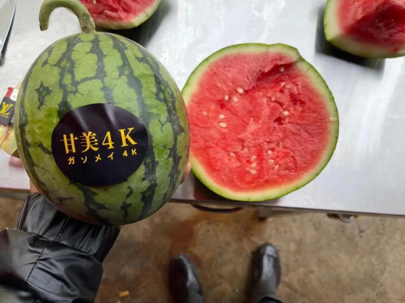 【推荐】江苏盐城东台西瓜麒麟西瓜实力代办货源充足产地