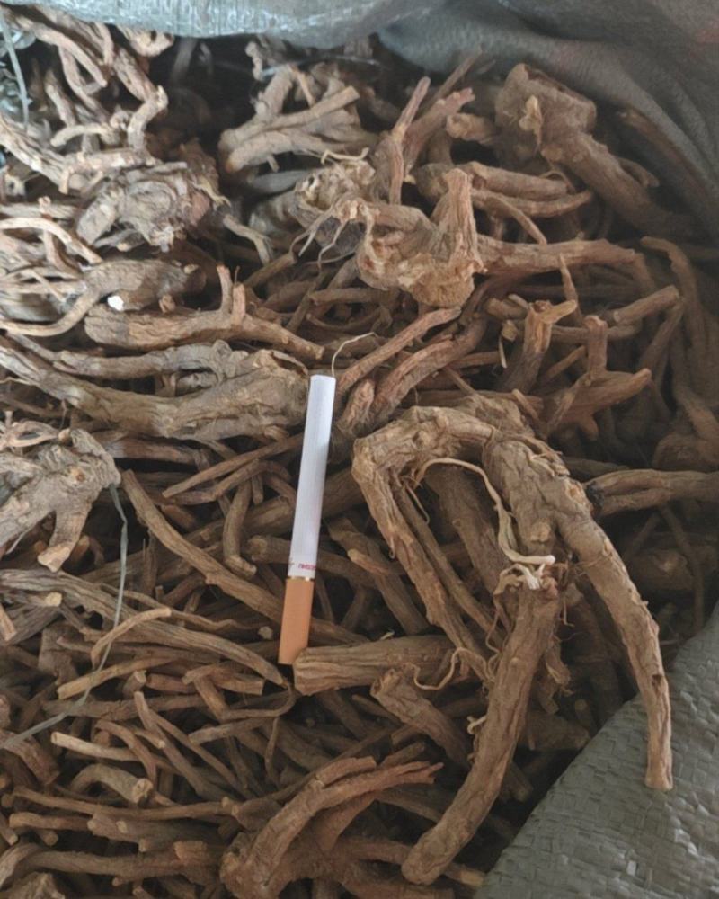 贵州百花前胡贵州精品百花前胡，产地直供，一手货源，品质保证