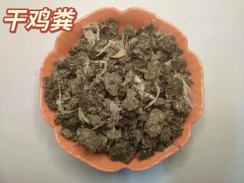 绿沃肥业-干鸡粪块，大量供应好，品质看得见，疏松肥沃