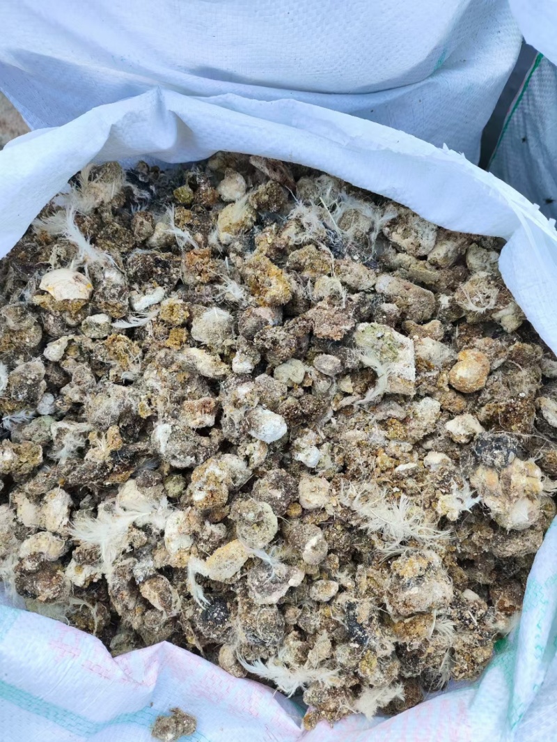 绿沃肥业-干鸡粪块，大量供应好，品质看得见，疏松肥沃