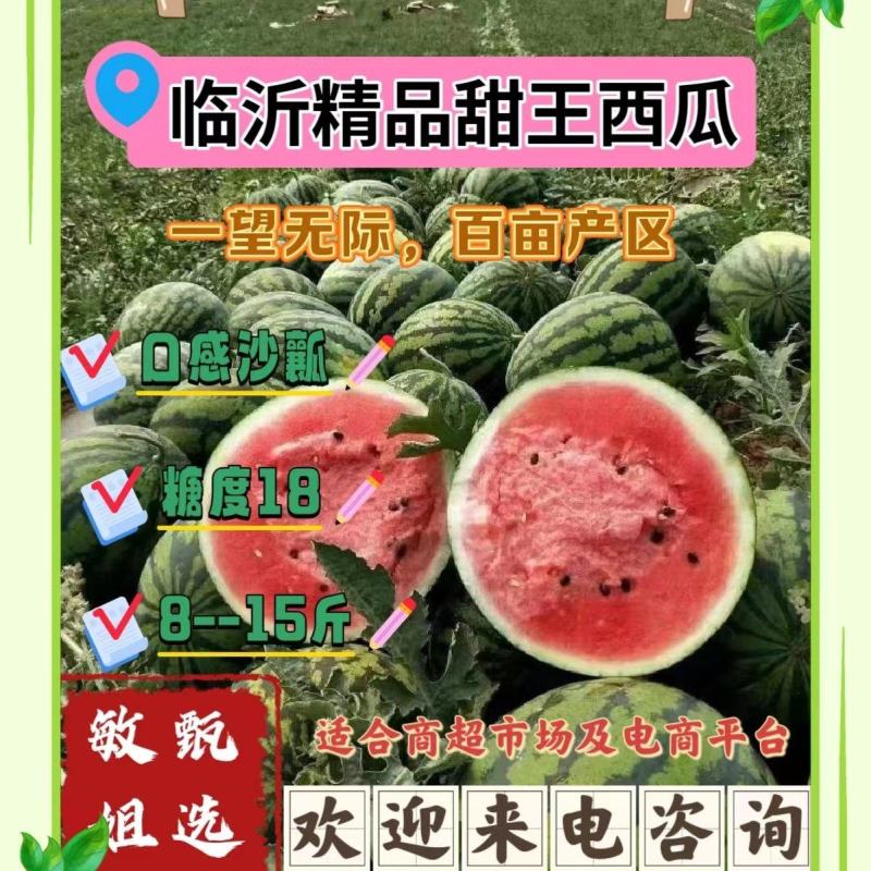 营养多汁西瓜电商供货