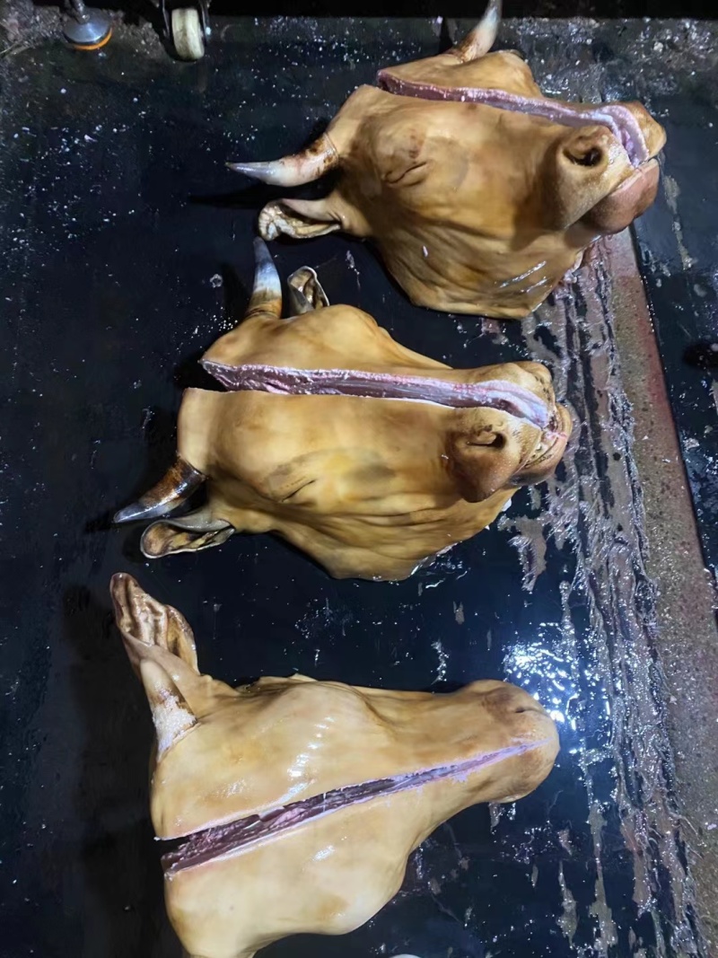 山东牛头厂家直发，货源充足质量保证量大价优，视频看货欢迎致电