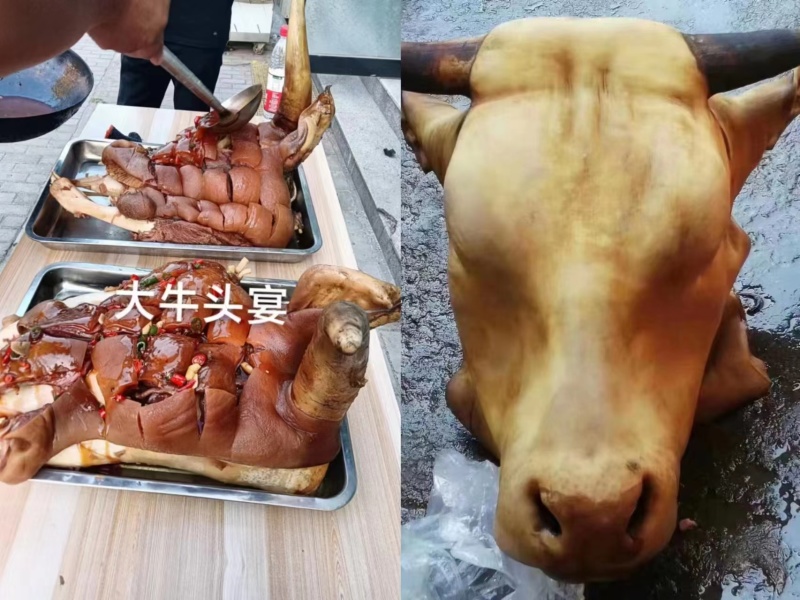 山东牛头厂家直发，货源充足质量保证量大价优，视频看货欢迎致电