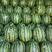 新疆甜王西瓜，货源充足稳定，量大从优，甜度高，全国发货