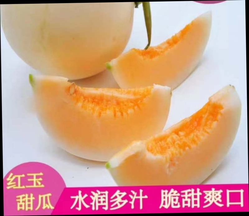 甜红玉甜瓜，软糯香甜河南省上蔡县龚垒代收货代发货电商货市