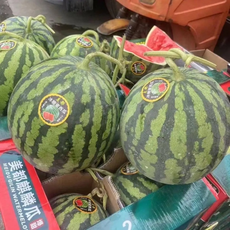 山东美都西瓜西瓜皮薄多汁包熟包甜万亩基地持续供应