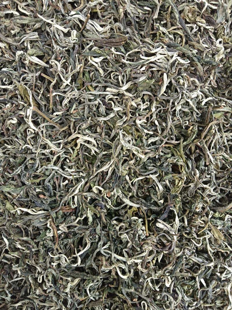 广西高山云雾茶叶产地直供大量有货，质量保证一手货源