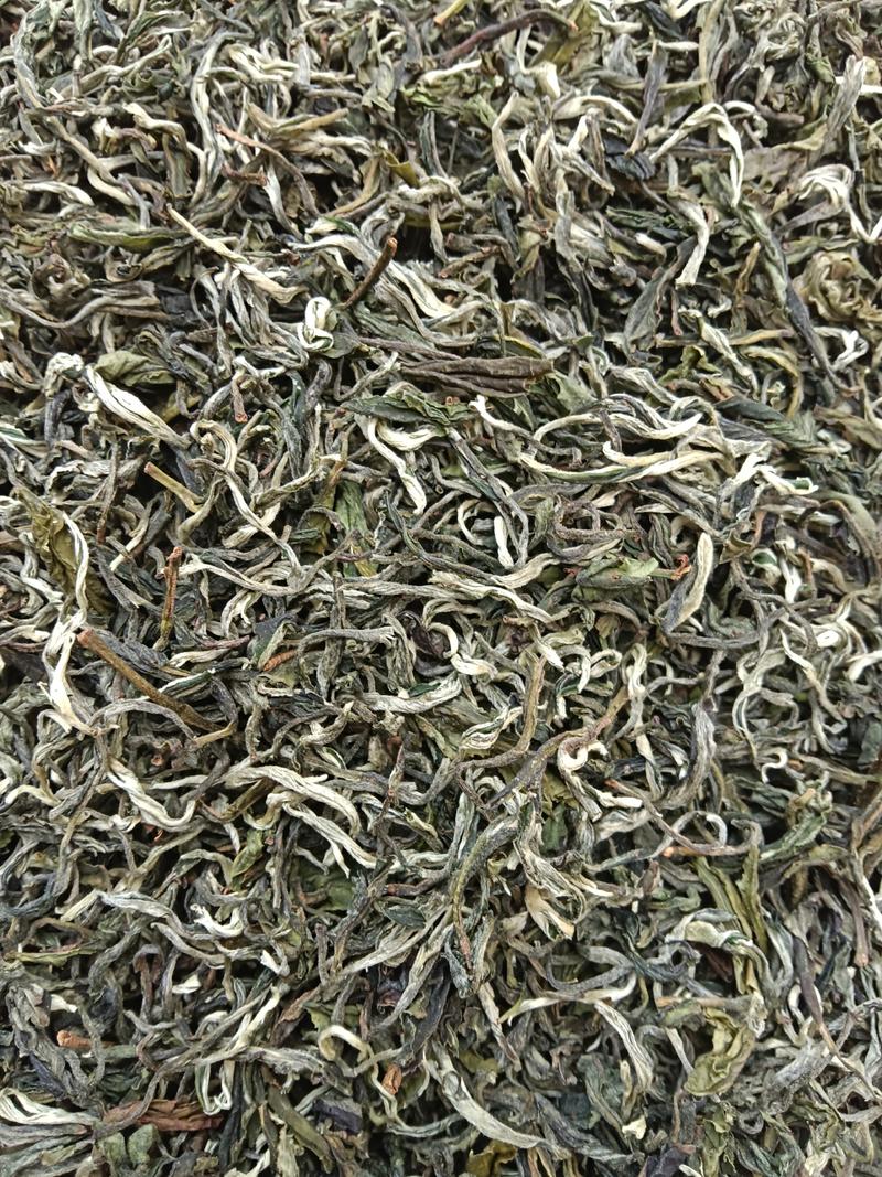 广西高山云雾茶叶产地直供大量有货，质量保证一手货源