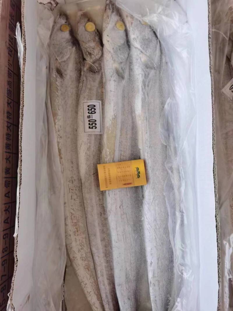 海南渔业龙头企业本地带鱼非进口可代办代收代加工包装一手货