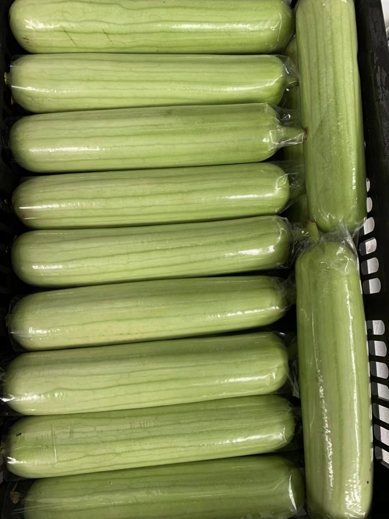 精品白丝瓜，红杭椒，红线椒，白苦瓜