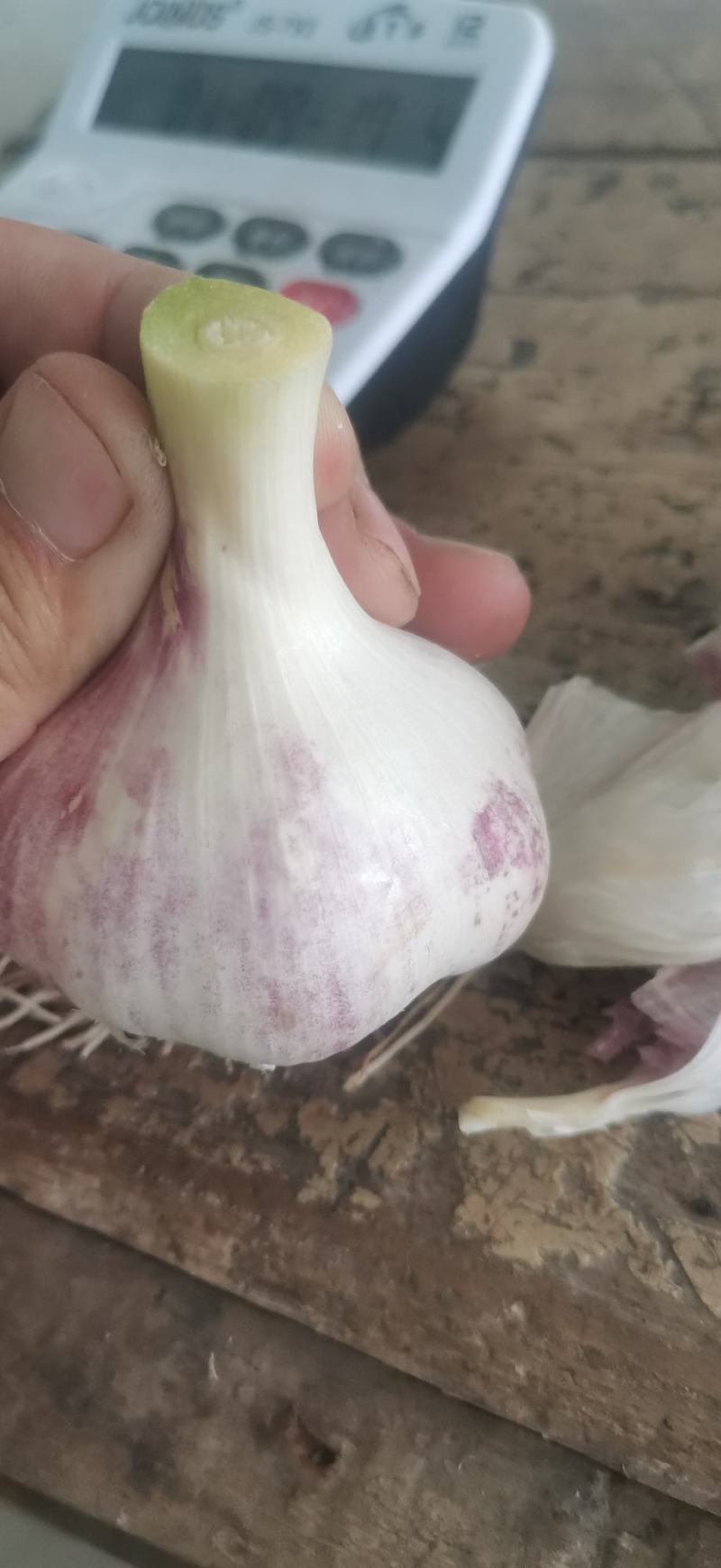 大蒜