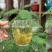 莓茶藤茶湖南张家界藤茶龙须藤茶芽尖批发价
