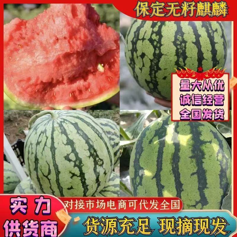 保定麒麟西瓜无籽西瓜大棚西瓜头茬麒麟瓜产品批发代发全国