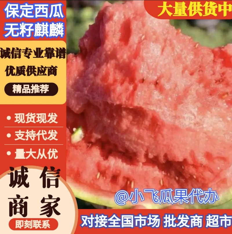 保定麒麟西瓜无籽西瓜大棚西瓜头茬麒麟瓜产品批发代发全国
