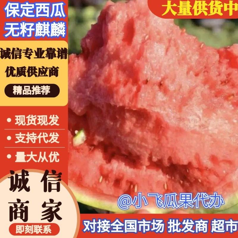 【无籽麒麟西瓜】保定无籽西瓜大棚头茬麒麟瓜产地批发