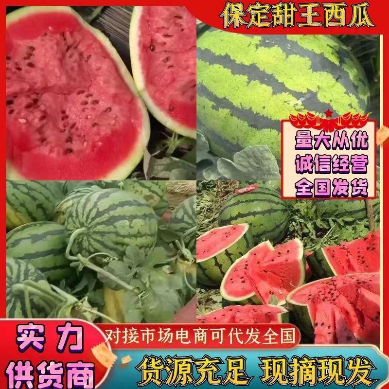 【甜王西瓜】新民产地批发头茬大棚西瓜支持代发全国