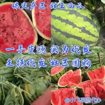 西瓜甜王西瓜头茬大棚西瓜大量供货支持代发全国市场