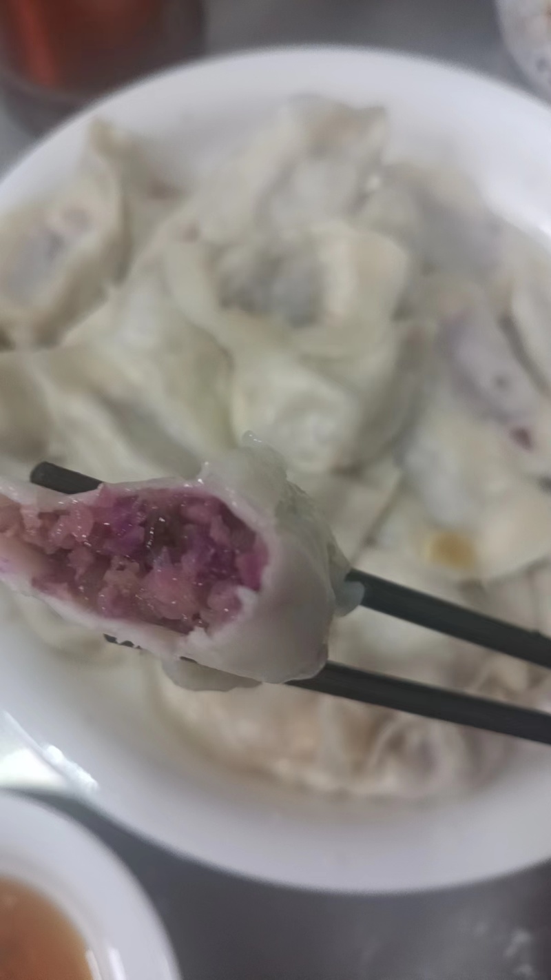 素馅水饺豆腐木耳香菜馅茴香黄瓜胡萝卜木耳馅欢迎咨询