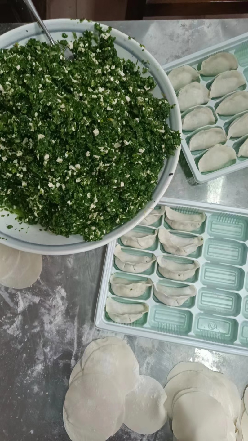精品水饺白菜豆腐馅土豆、芹菜馅藕芹菜馅欢迎咨询