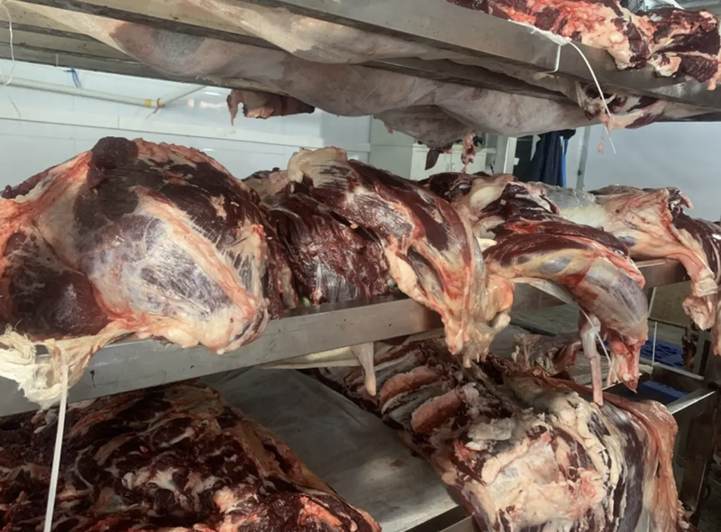 新鲜无水黄牛肉自家工厂批发现杀现发量大优惠