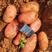 红皮洋芋、红皮土豆（雪川）