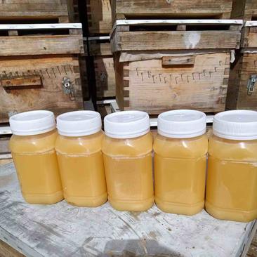 土蜂蜜质量保证大量有货欢迎采购