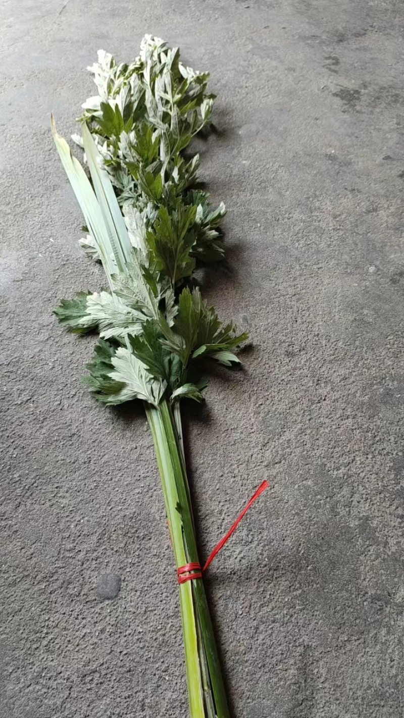 艾草，艾苗，艾根，大量上市，货源充足，保质保量
