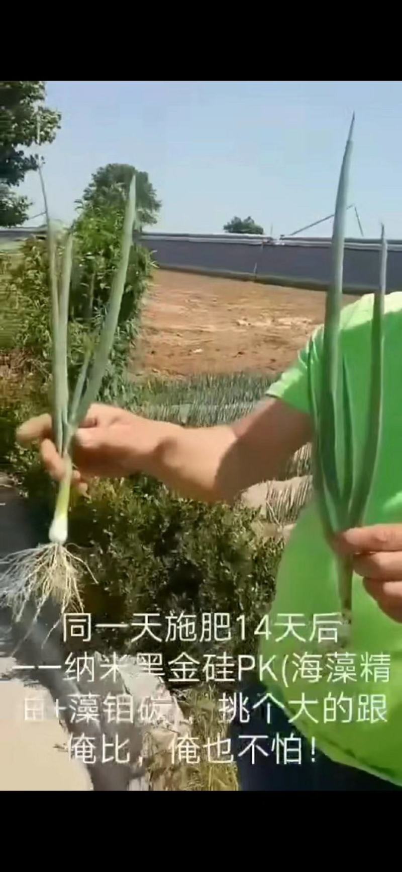液体硅肥（单硅酸）抗病增产抗倒伏膨果增甜上色快