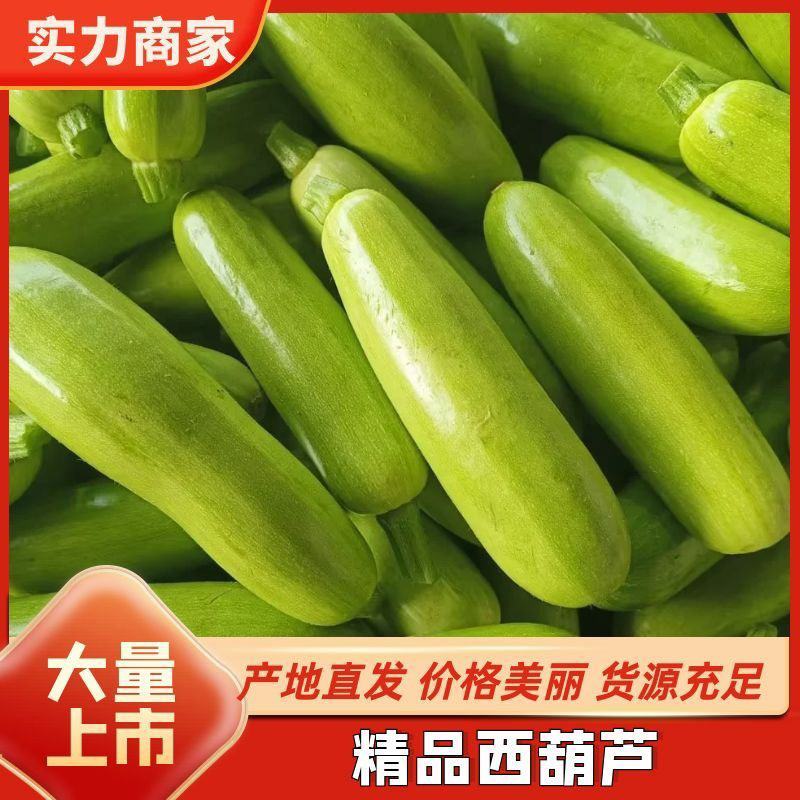山东绿皮西葫芦，产地直发，大量上市，欢迎咨询