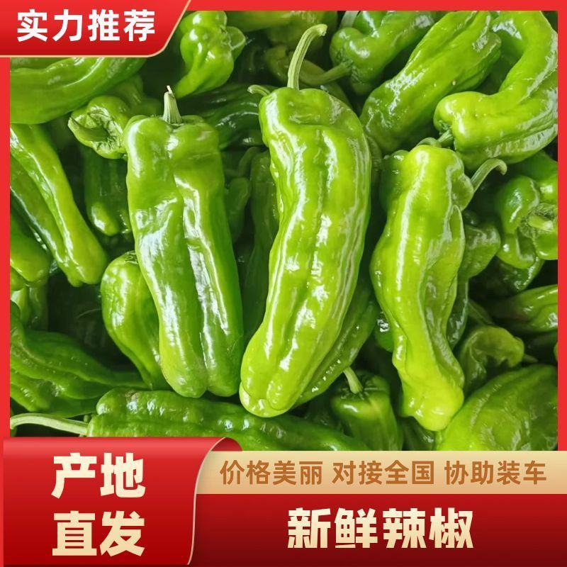 电商芜湖椒，薄皮椒，全年接单，产地直发，货源稳定