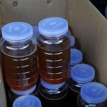 精品蜂蜜江西蜂蜜货源充足量大从优质量保证欢迎咨询