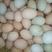 山林生态散养土鸡蛋，420枚每箱，现捡现发，260元每箱
