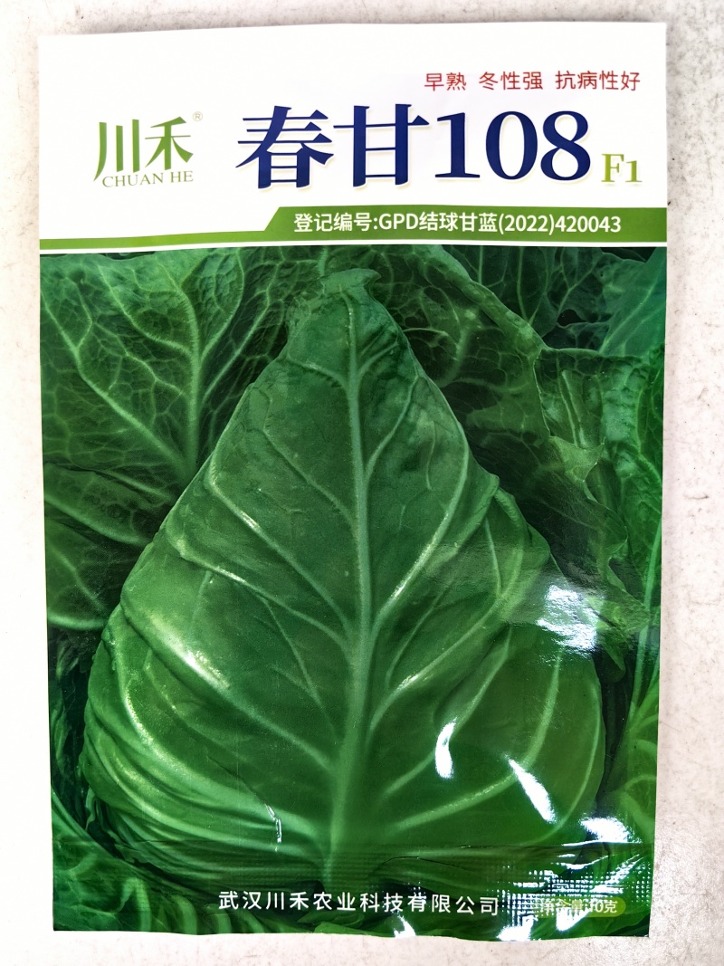 牛心甘蓝种子春甘108尖顶包菜耐寒耐抽苔露地越冬春秋甘蓝种籽