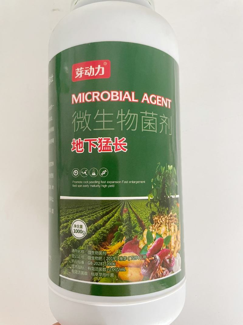 芽动力地下猛长根茎膨大素地瓜土豆山药红薯高产花生粒粒饱根